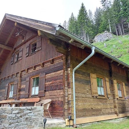 Siegel Almhuette Villa Zederhaus Ngoại thất bức ảnh